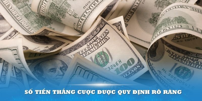 Số tiền thắng cược sẽ được quy định rõ trong điều khoản sử dụng tại đơn vị